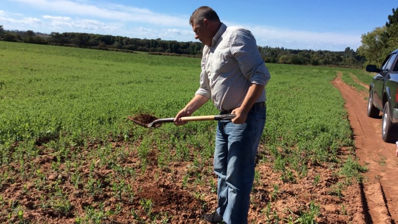 Pulse promoter predicts growth in favas and green peas