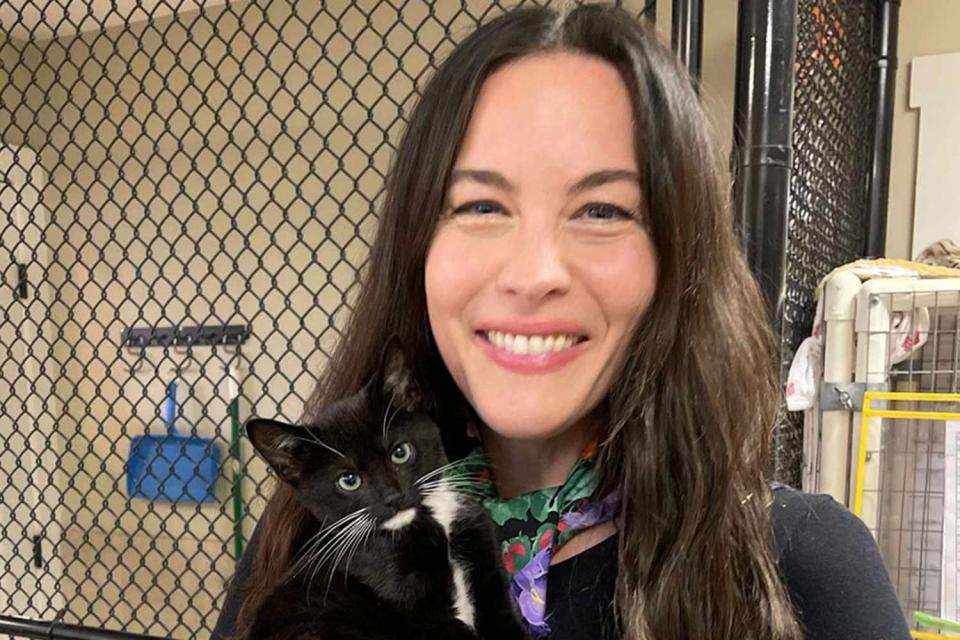 <p>Humane Society of Ventura County</p> Liv Tyler adopts two kittens from Humane Society of Ventura County