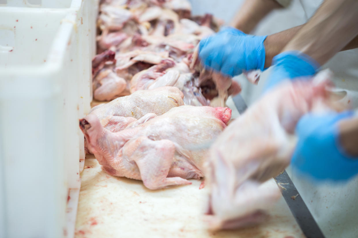 The USDA rejected a petition from the poultry industry to allow plants to ramp up line speeds. The change could have jeopardized worker safety and caused food safety issues. (Photo: Brusonja via Getty Images)