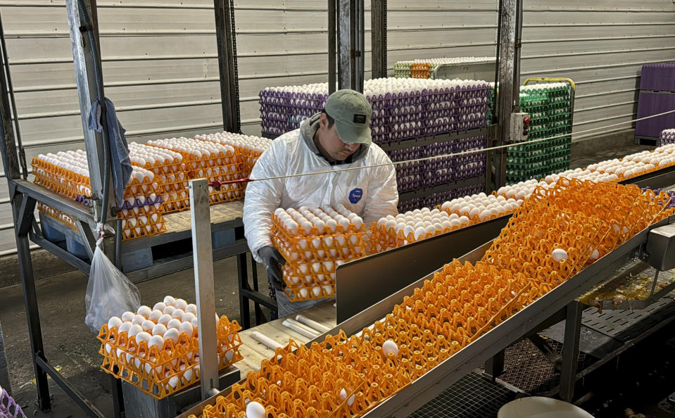 A worker moves crates of eggs at the Sunrise Farms processing plant in Petaluma, Calif. on Thursday, Jan. 11, 2024, which has seen an outbreak of avian flu in recent weeks. (AP Photo/Terry Chea)