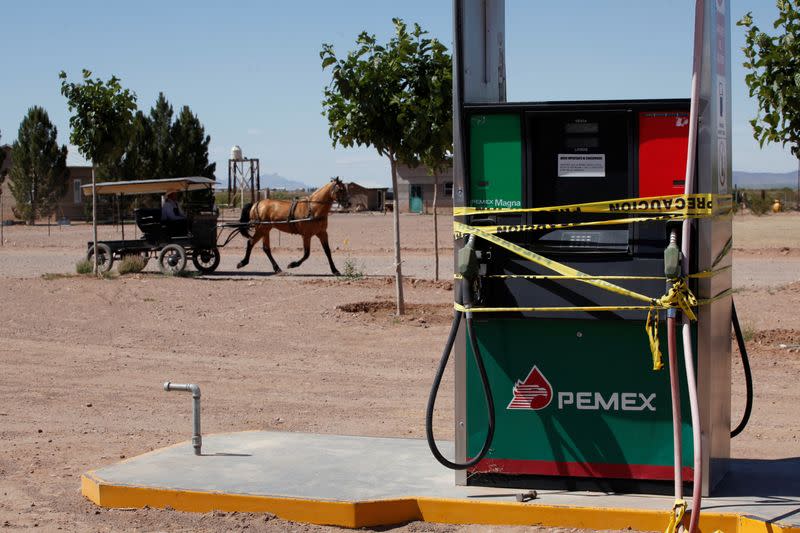 The Wider Image: In Mexico, a decade of images shows Mennonites' traditions frozen in time