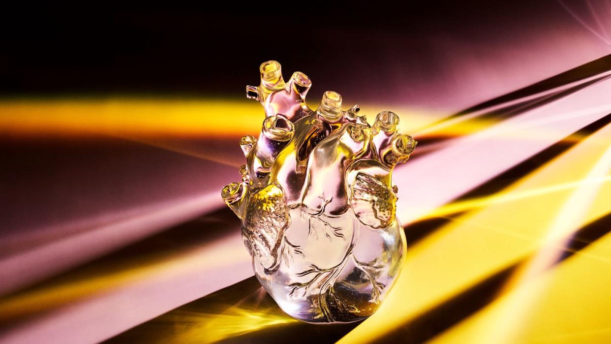 glass anatomical heart