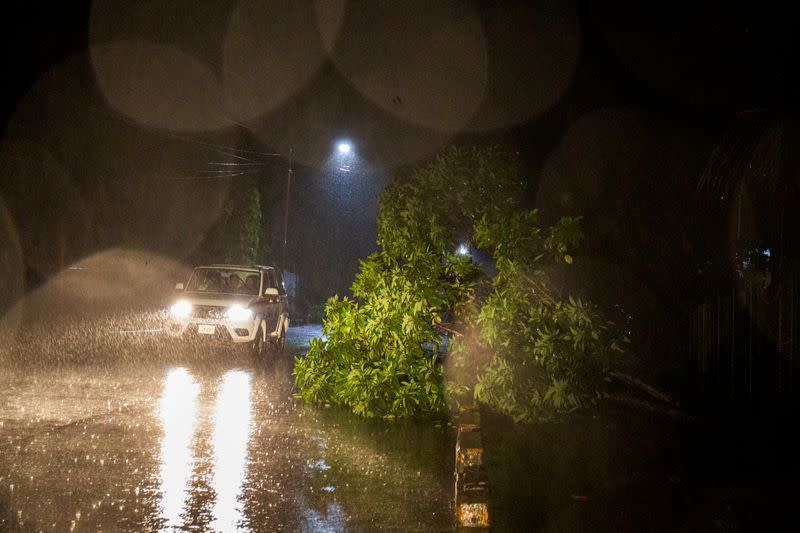 Personas en un vehículo pasan junto a un árbol caído después de que el huracán Julia golpeara las costas con viento y lluvia, en Bluefields