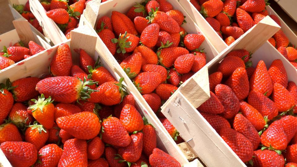 Love strawberries? The Space Coast Strawberry Festival will be at Space Coast Daily Park in Viera on Feb. 3 and 4.