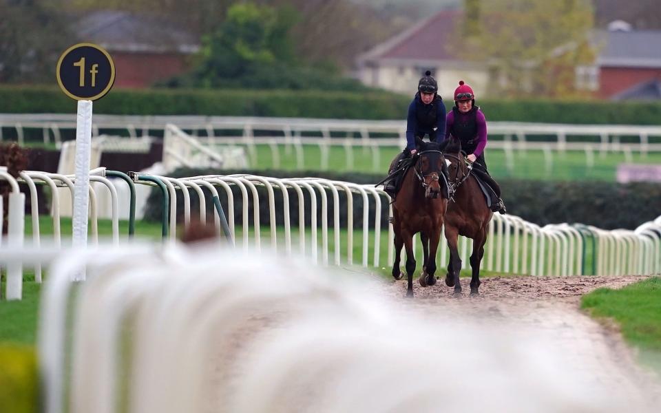 Horses warming up for Aintree