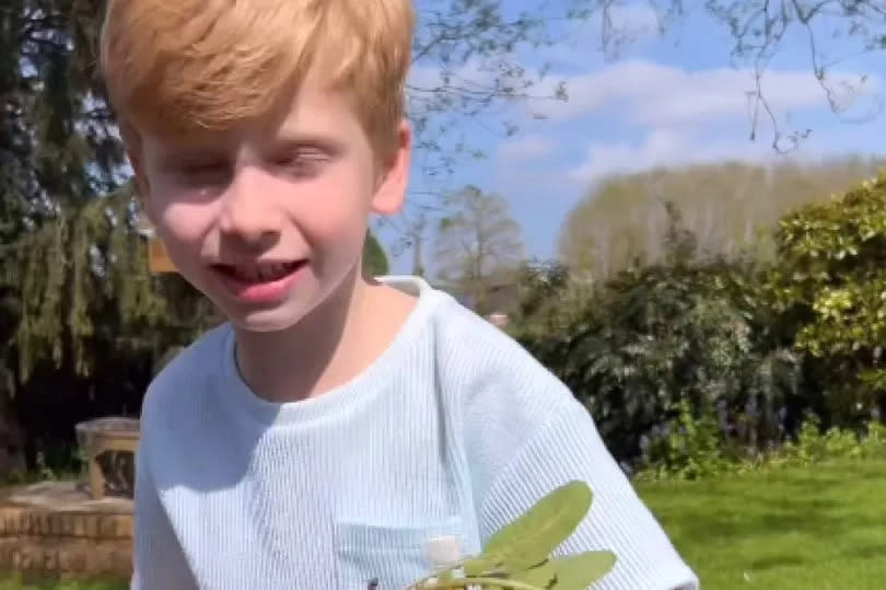 Rex appeared chuffed with his first crops -Credit:Stacey Solomon Instagram