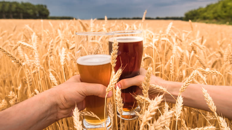 beer in a wheat field