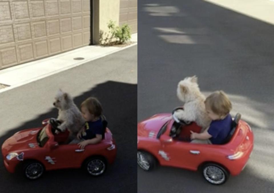 ▲小狗自駕小型電動汽車載小孩，讓飼主驚訝錄下影片。（圖/美聯社/Jukin Media）