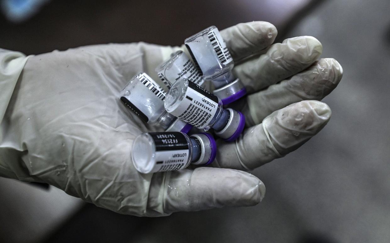 Pfizer/BioNTech vaccine vials in Gaza, in September - Shutterstock