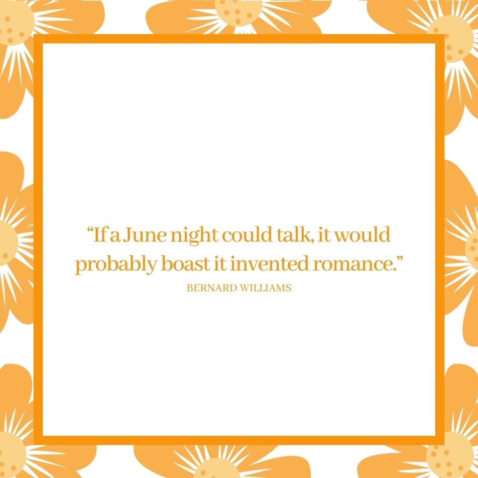 June Quotes: Bernard Williams