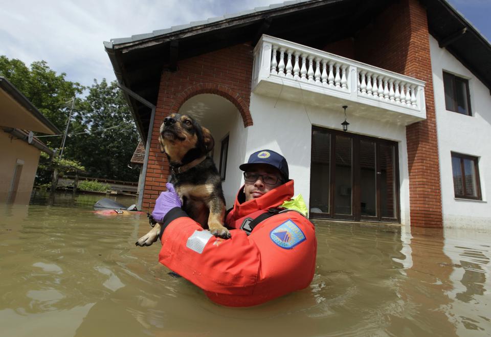 A Slovenian Civil Protection rescue worker saves a dog during heavy floods in the village of Prud