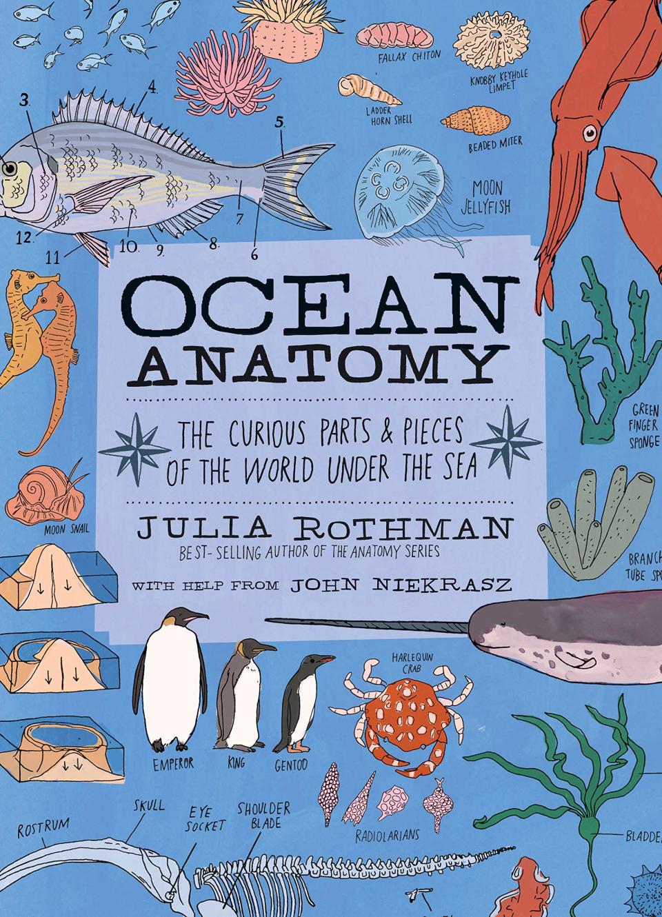 "Ocean Anatomy"