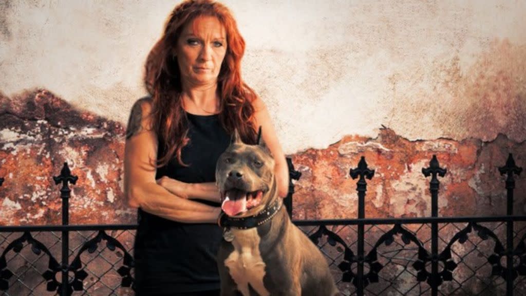 Pit Bulls & Parolees Season 9 Streaming