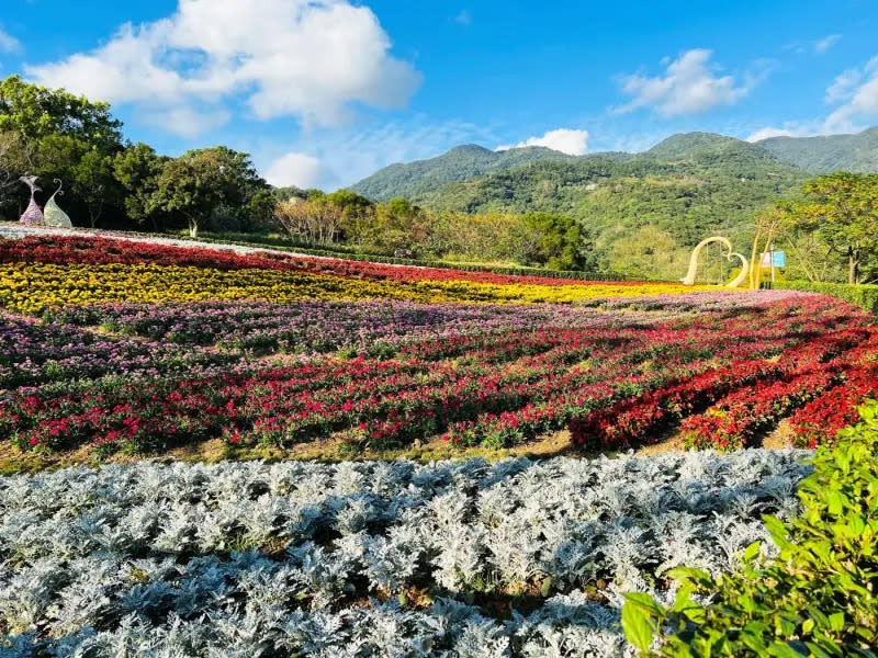 ▲三層崎花海浪漫登場，北投老爺特別邀請IG人氣攝影師城市漫遊者法呢，共同推出街拍活動。（圖／北投老爺酒店提供）