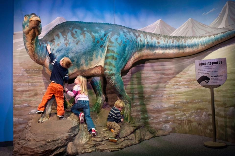 Dinosaurs: Land of Fire and Ice exhibit at the Upcountry History Museum