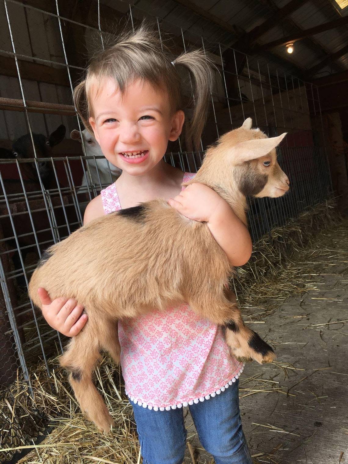 Deyton Cunningham holds Elsa, a kid (baby goat) Nigerian dwarf at her family’s Simple Goodness Sisters farm in Buckley, Wash. These friendly animals will be part of the Garlic & Goats Festival in Wilkeson on August 21, 2022. Venise Cunningham/Simple Goodness Sisters