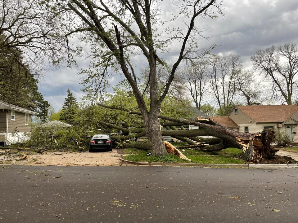 A car was crushed by a fallen tree at 36th and Summit Avenue on May 12, 2022.