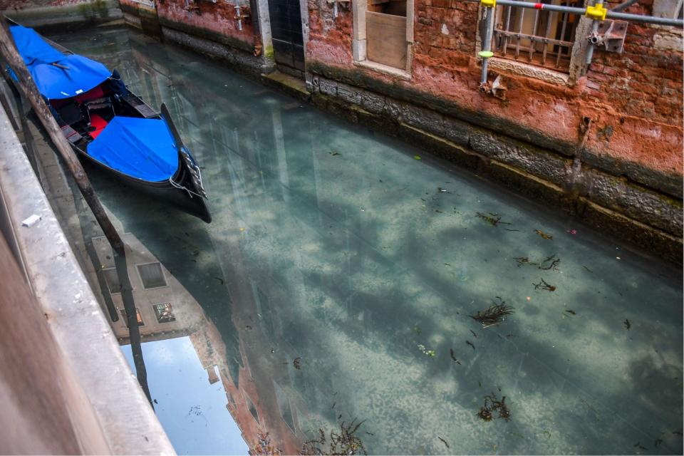 A view shows clearer waters by a gondola in a Venice canal on March 17, 2020 as a result of the stoppage of motorboat traffic, following the country's lockdown within the new coronavirus crisis.