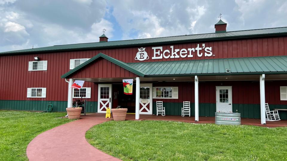 Eckert's Orchard features U-pick and picked pumpkins and apples, country store, bakery with homemade goods, including its famous Apple Cider Donuts, local jams, salsas, and honey. Also an ice cream shop and café, corn maze, bonfires and playground.