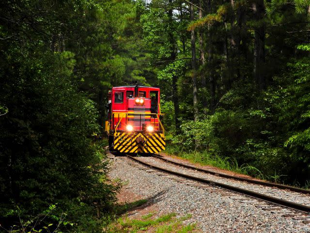 <p>Courtesy of New Hope Valley Railway</p>