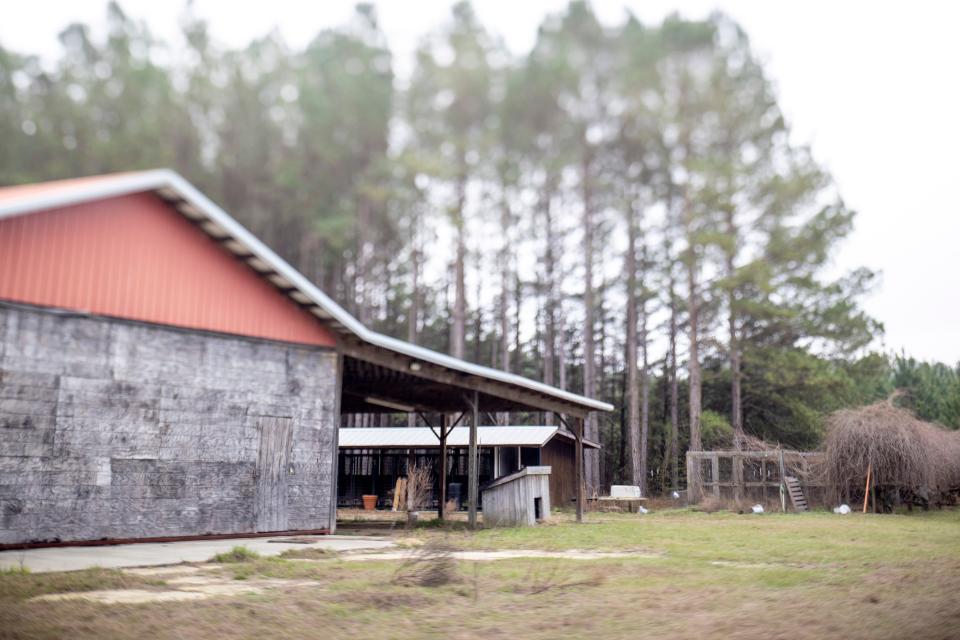 (Photo made with a tilt shift lens changing the plane of focus, causing a blurry effect in partial frame) The dog kennels and hanger at the Murdaugh Moselle property on Wednesday, March 1, 2023 in Islandton. Andrew J. Whitaker/The Post and Courier/Pool