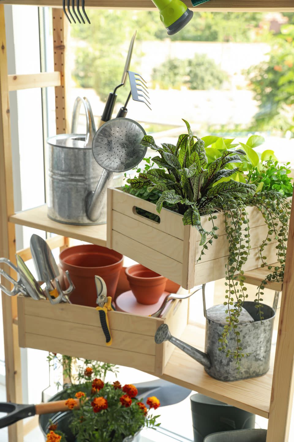 shed organization ideas