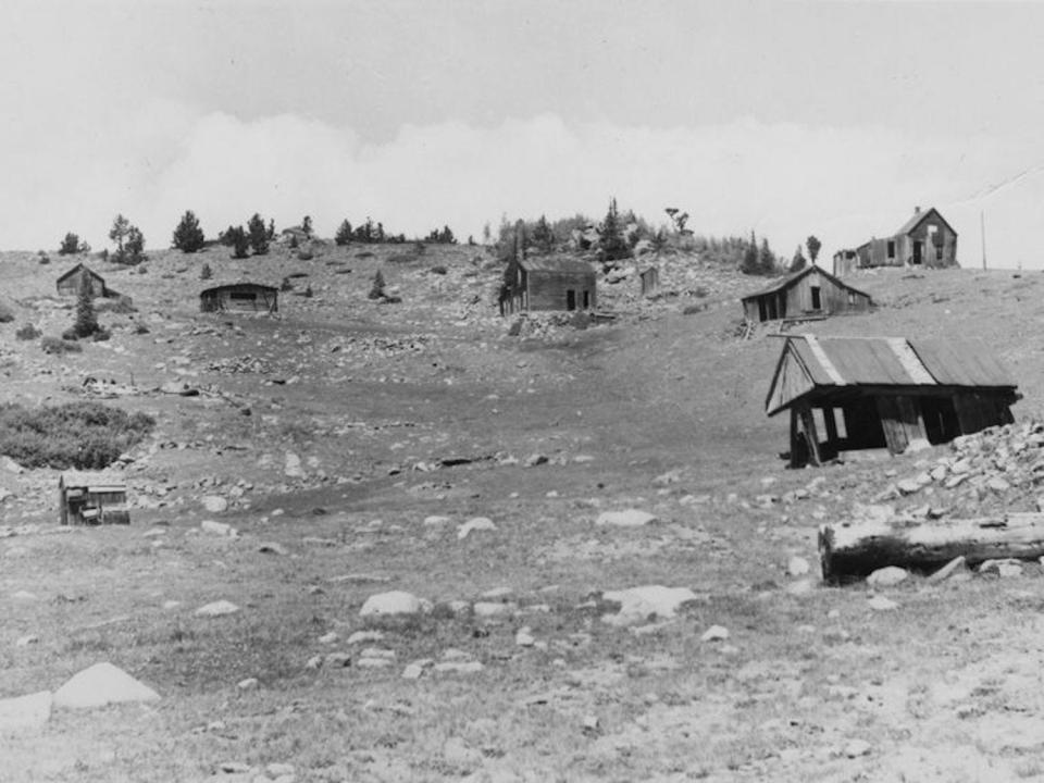 An image shows Caribou in the 1950s.