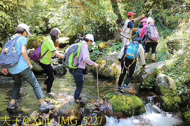 IMG_5227.jpg - 宜蘭南山部落迷霧森林 2018/07/28