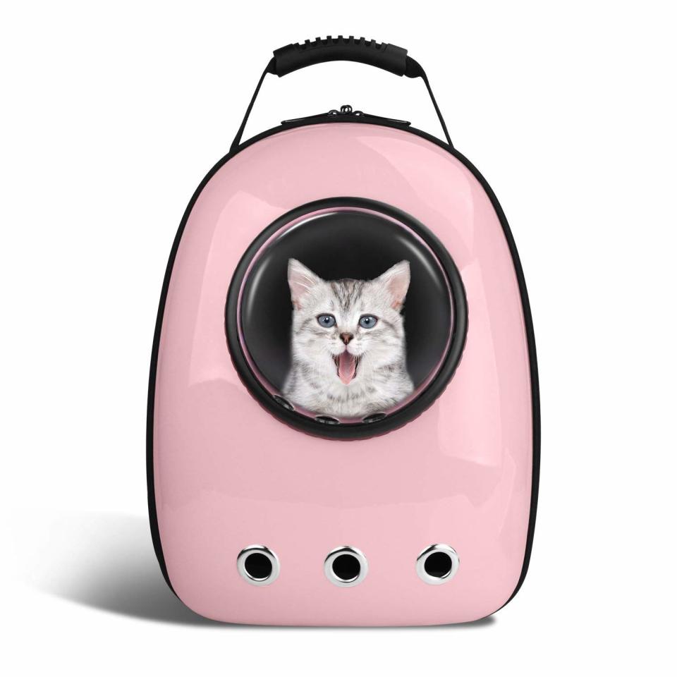 Portable Space Capsule Pet Carrier Backpack