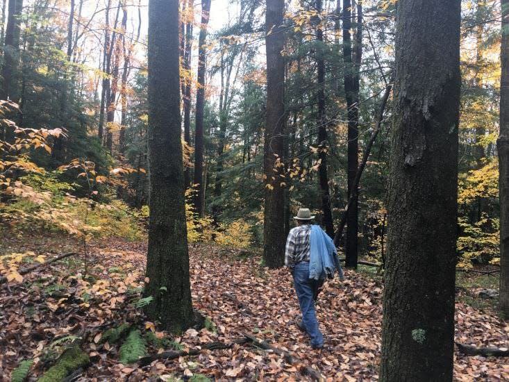 <span class="icon icon--xs icon__camera">  </span> <span class="credit font--s-m upper black"> <b>Jason Nark / Staff</b> </span> <div class="caption space-half--right font--s-m gray--med db"> Jim Finley, a retired forestry professor and founder of Penn State’s Center for Private Forests, walks his entire property every spring looking for invasive plants. </div>