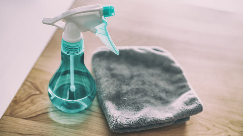 spray bottle and dishcloth