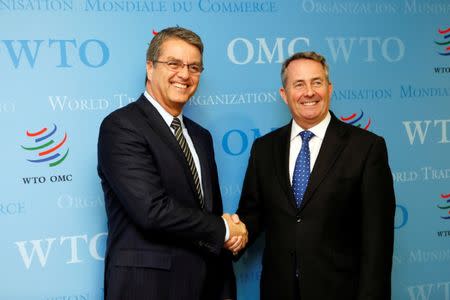 Roberto Azevedo (L), Director-General of the World Trade Organization (WTO), greets Britain's International Trade Secretary Liam Fox (R) before a meeting in Geneva, Switzerland, September 27, 2016. REUTERS/Pierre Albouy