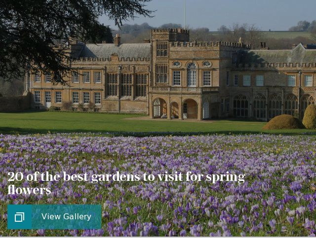 20 of the best gardens to visit for spring flowers