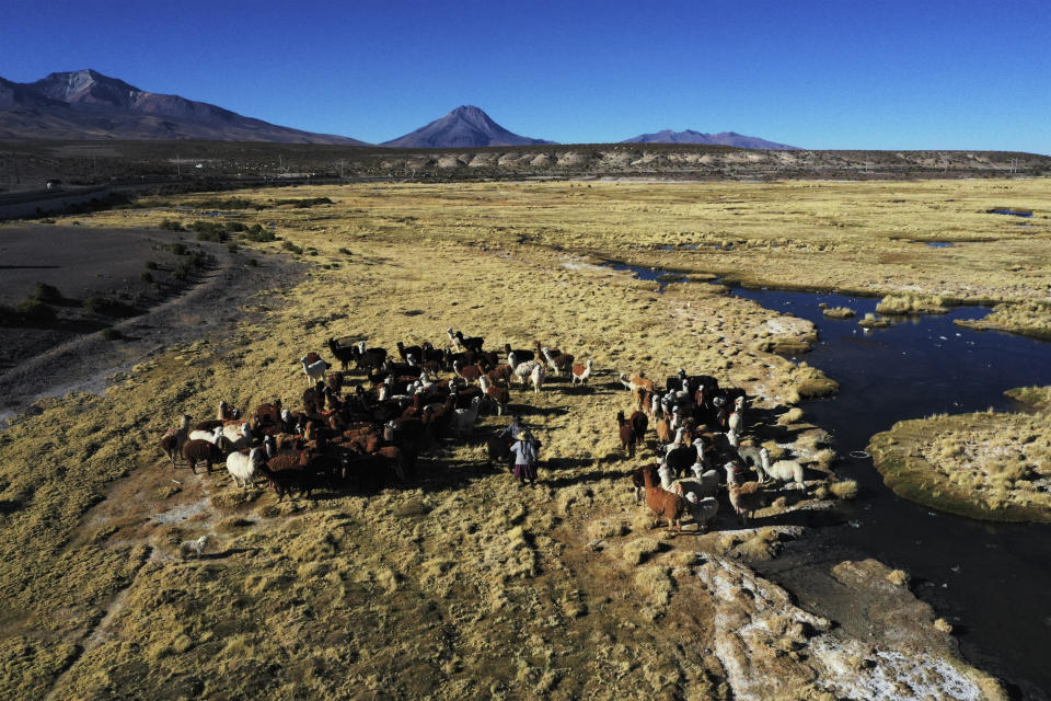 Indígenas aymaras pastorean a sus llamas en Colchane, Chile, el lunes 31 de julio de 2023. Las mujeres aymaras realizan textiles con la lana de sus llamas y alpacas. (AP Foto/Ignacio Muñoz)