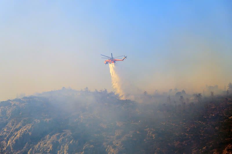 Wildfire burns on Mount Parnitha, near Athens