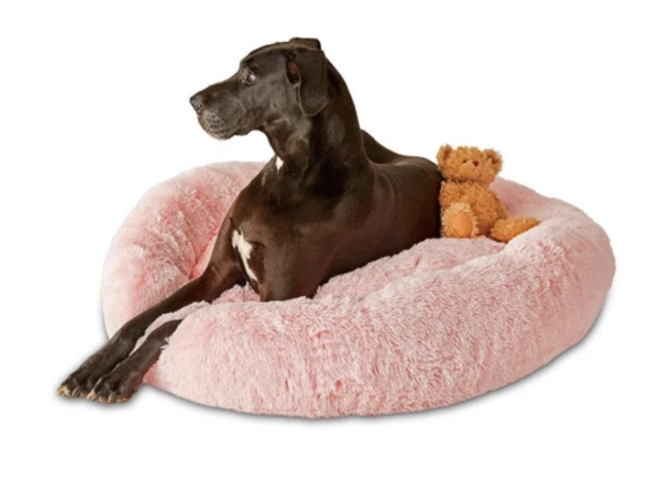 Original Pupnaps Calming Bed