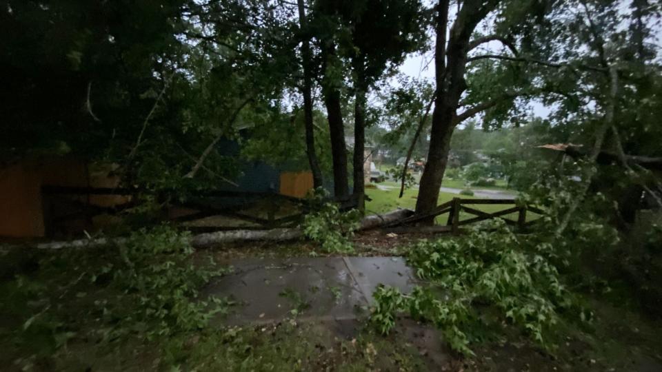 Citizens are reporting damage across Tallahassee.