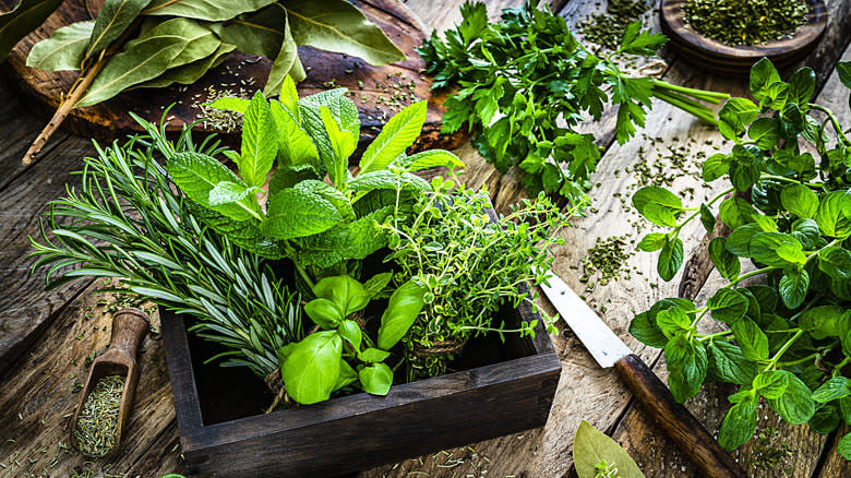 fresh green herbs