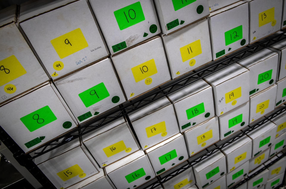 Boxes of flags in the studio of artist Suzanne Brennan Firstenberg, who is helping to archive the flags that were in the memorial on the Mall. (Bill O'Leary/The Washington Post)