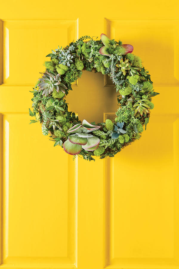 The Succulent Circle Wreath