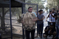 <p>Palestinian Muhammed Owida, the owner of the Khan Younis zoo carries a turtle out of its mean cage to be transferred out of the Gaza Strip on Aug. 23, 2016 . (AP Photo/Khalil Hamra) </p>