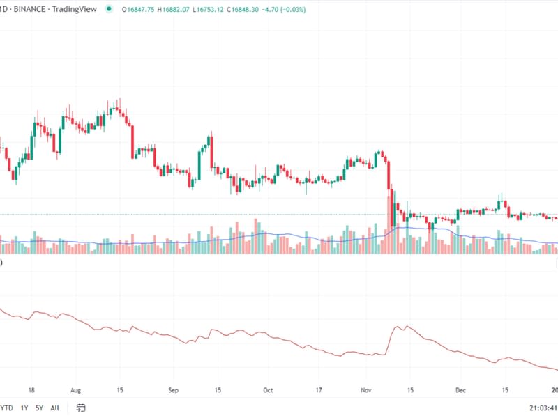 Bitcoin/U.S Dollar Daily Chart (TradingView)