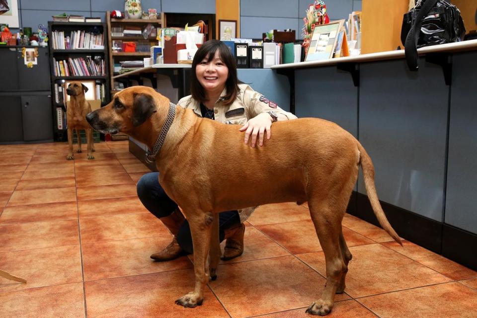 Amy把3隻認養來的大狗，養在冒煙的喬高雄總部內，她說：「大狗不比小狗，牠們被認養率極低，所以專挑大狗來養。」