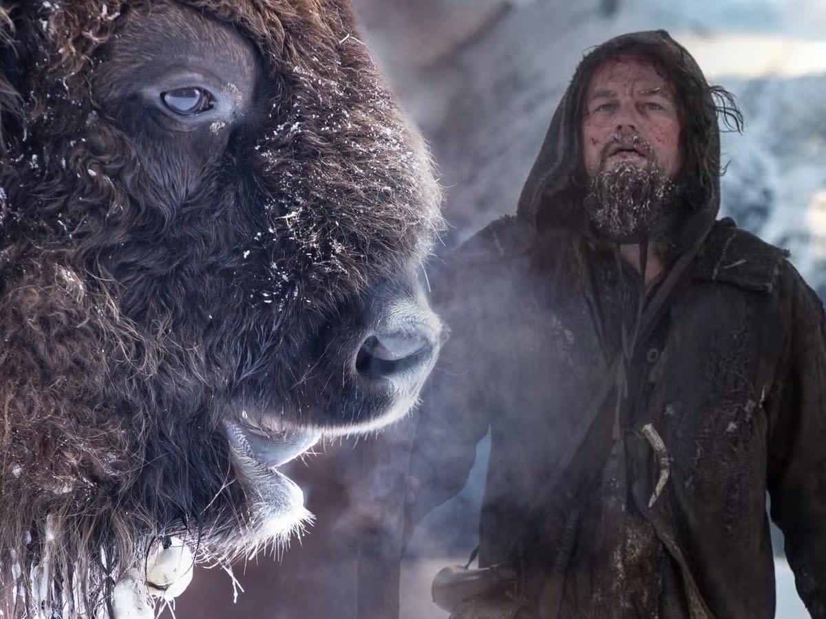 The actor has thrown his support behind a landmark UK project to reintroduce bison (Getty/20th Century Fox/Independent)