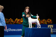 <p>For the first time, the National Dog Show hosted the National Dog Show Junior, a competition designed to inspire young, aspiring dog handlers, this year. </p>