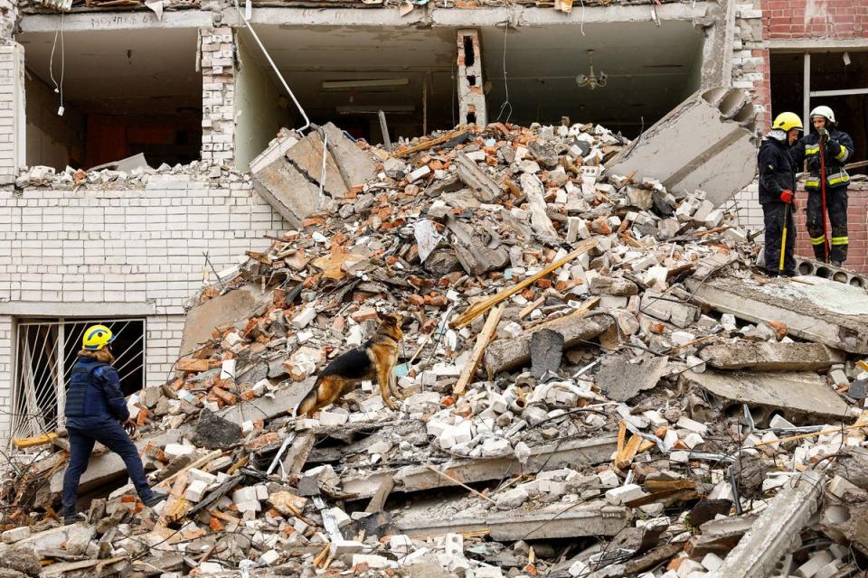 A dog stands on rubble as rescuers work at the site of a destroyed building during the Russian missile strike (REUTERS)