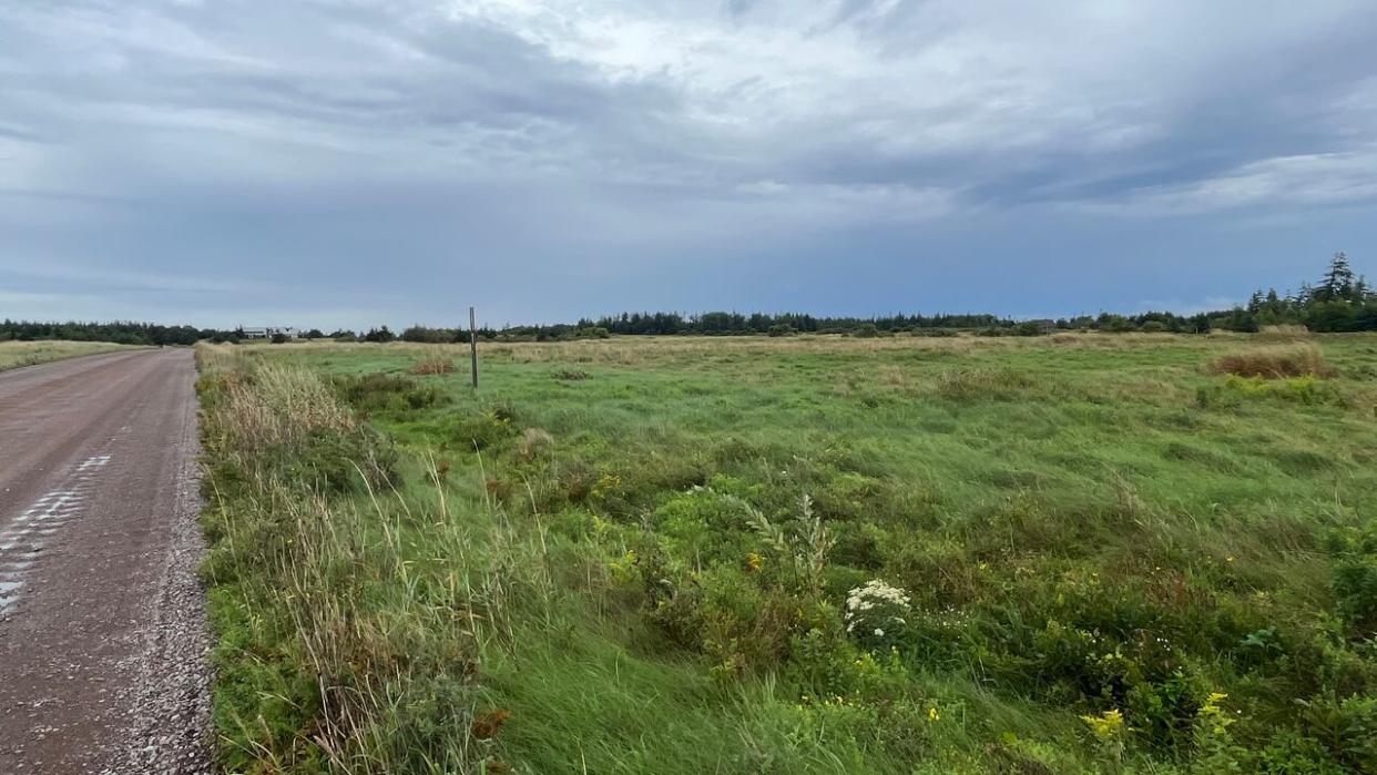 The planned subdivision property can be seen at right, next to the road that leads to the sand dunes and beach at Greenwich. (Kerry Campbell/CBC - image credit)