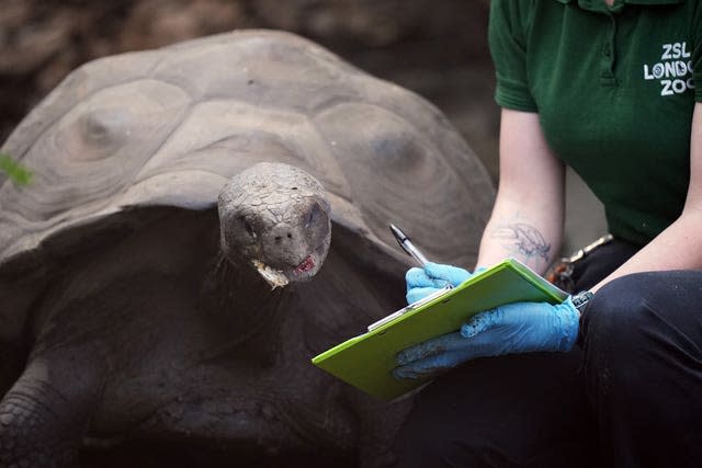 ZSL London Zoo annual stocktake