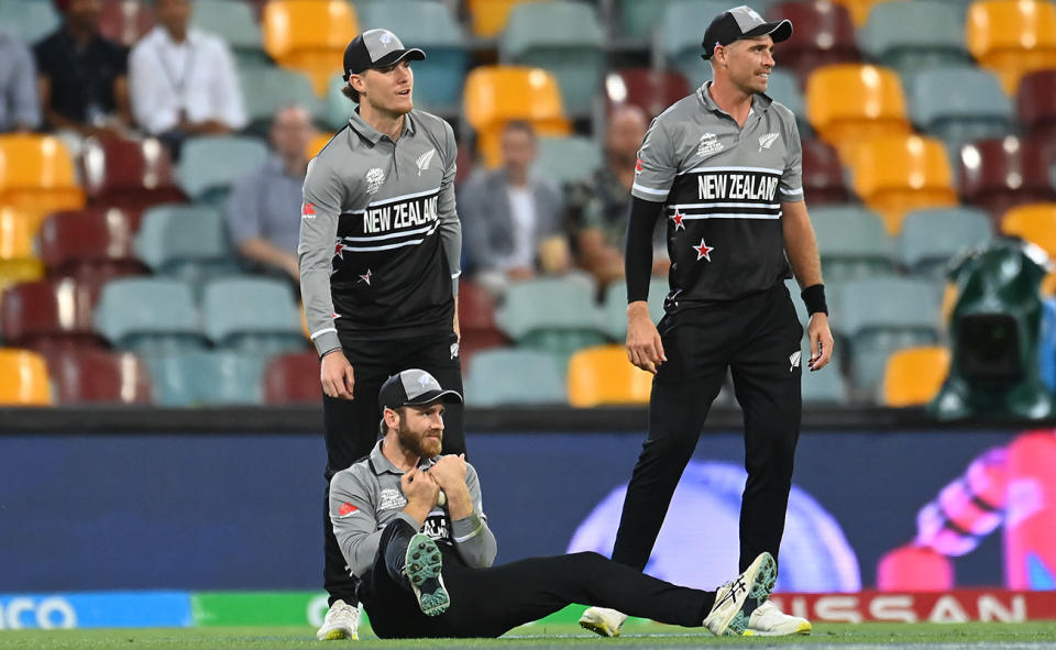 Kane Williamson, pictured here unsure if he'd taken the catch cleanly or not.