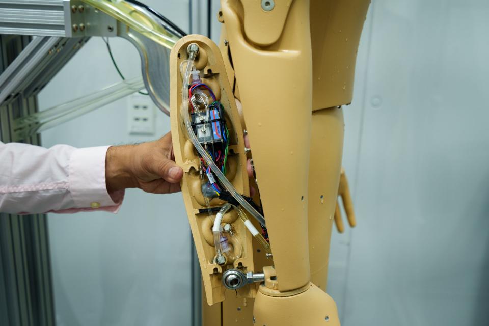 ANDI, the thermal manikin used to study heat and the human body, is equipped with cooling channels throughout its body.